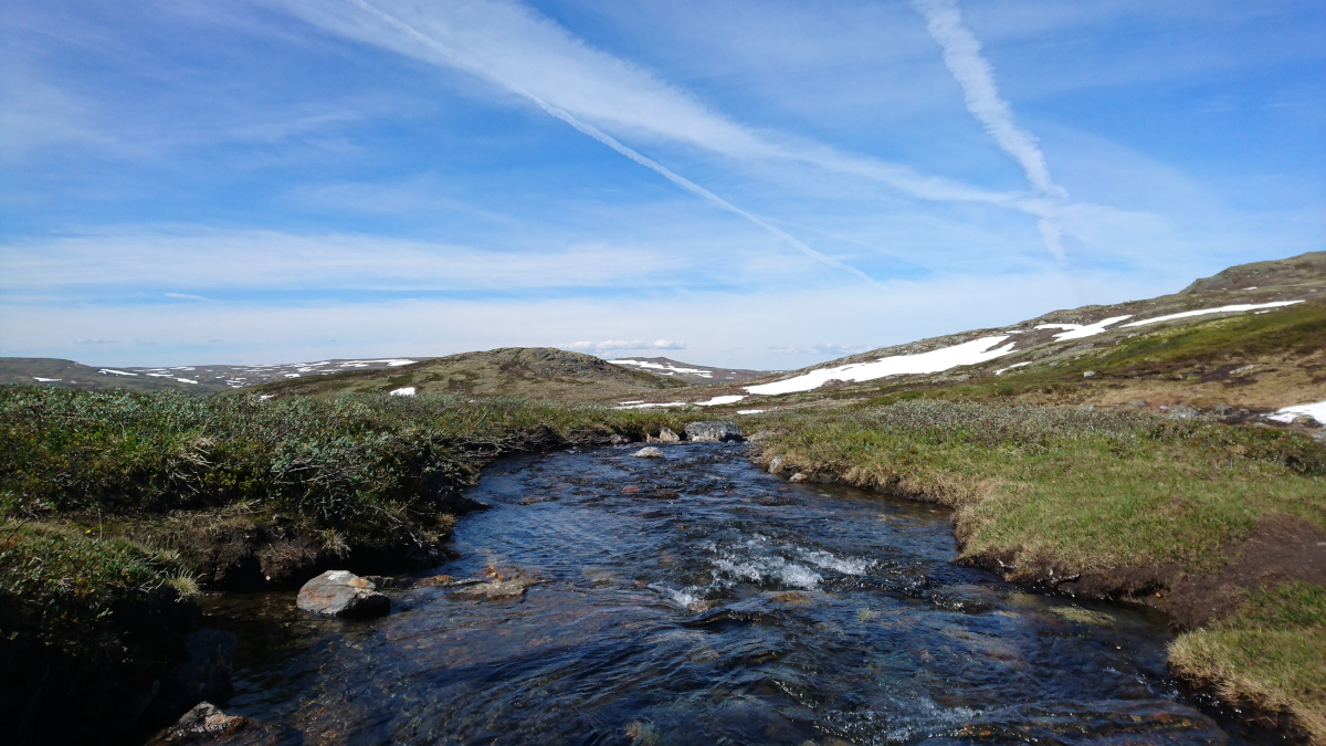 Over Grønlibekken