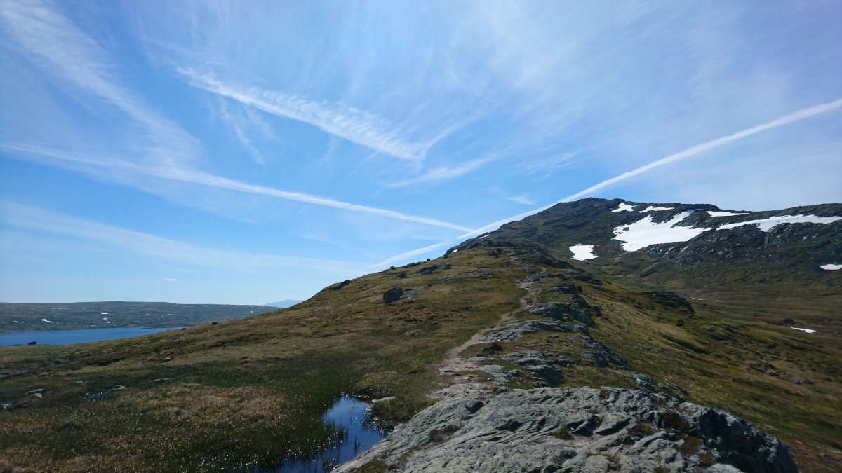 På vei opp på Forollhogna
